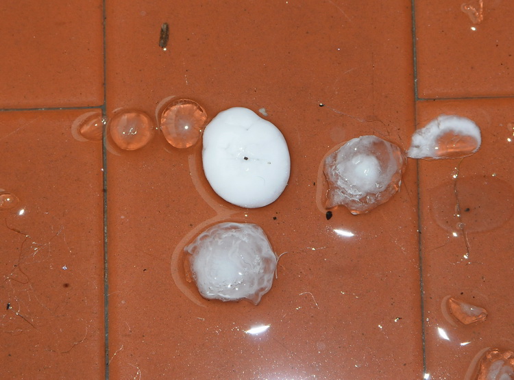 Finalmente piove!!!!